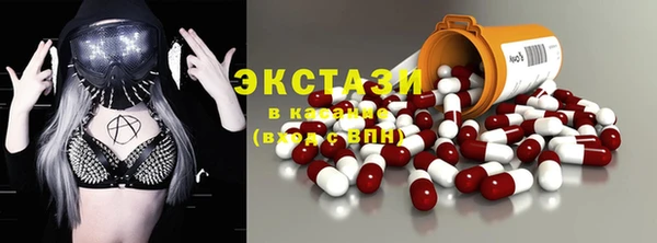 стаф Алексин