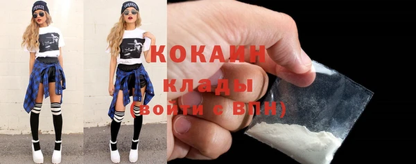 стаф Алексин