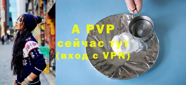шишки Абаза