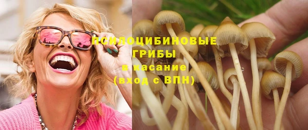 соль курить ск Алзамай